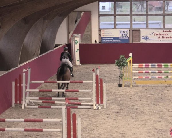 Reitturnier Krumke 2023