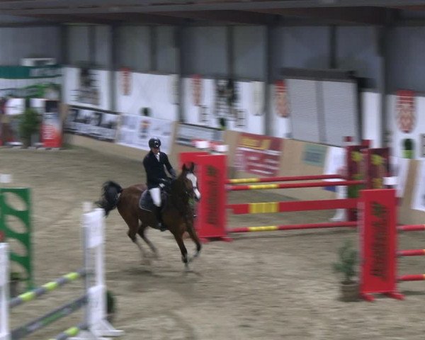 Reitturnier Borgholzhausen-Westbarthausen 2023