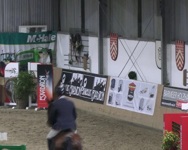 Reitturnier Borgholzhausen-Westbarthausen 2023