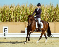 broodmare Thalia (German Riding Pony, 2010, from Timberland)