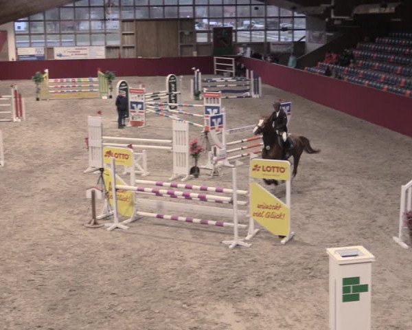 Reitturnier Krumke 2023
