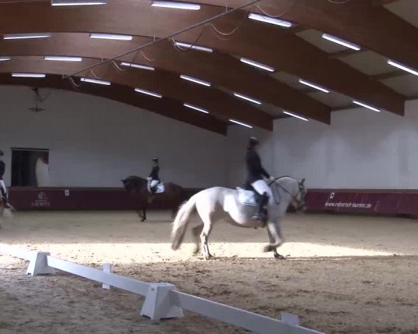 Reitturnier Eicherloh RH Laurent/Obb. 2023