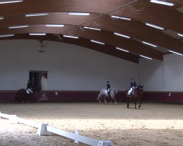 Reitturnier Eicherloh RH Laurent/Obb. 2023