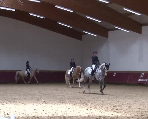 Reitturnier Eicherloh RH Laurent/Obb. 2023