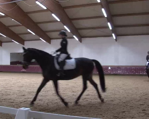 Reitturnier Eicherloh RH Laurent/Obb. 2023