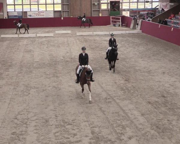 Reitturnier Krumke 2023