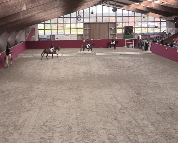 Reitturnier Krumke 2023