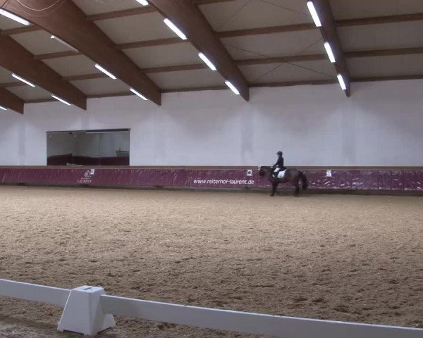 Reitturnier Eicherloh RH Laurent/Obb. 2023