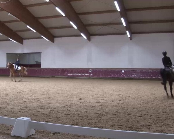 Reitturnier Eicherloh RH Laurent/Obb. 2023