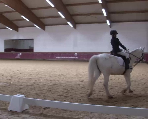 Reitturnier Eicherloh RH Laurent/Obb. 2023