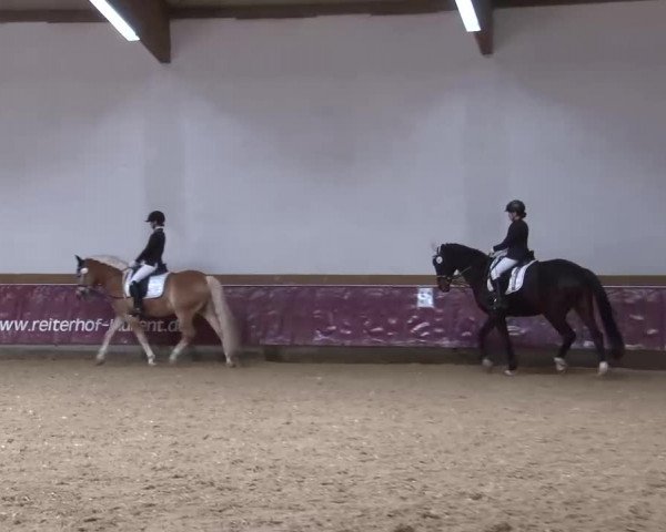 Reitturnier Eicherloh RH Laurent/Obb. 2023
