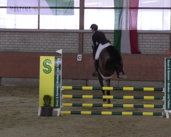 Reitturnier Hellefeld 2023
