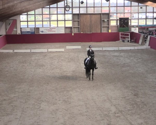 Reitturnier Krumke 2023