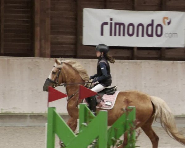 Reitturnier Mannheim-Neckarau 2023