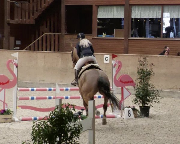 Reitturnier Mannheim-Neckarau 2023
