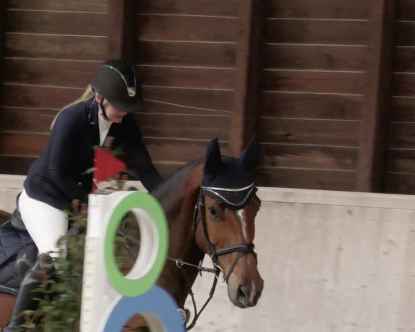 Reitturnier Mannheim-Neckarau 2023