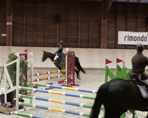 Reitturnier Mannheim-Neckarau 2023