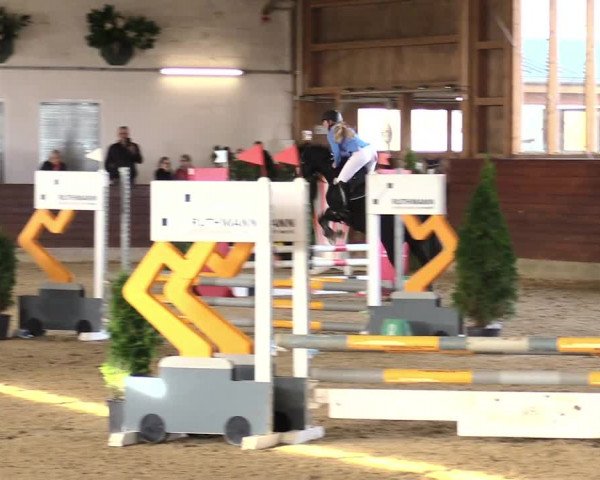 Reitturnier Coesfeld/Lette 2021
