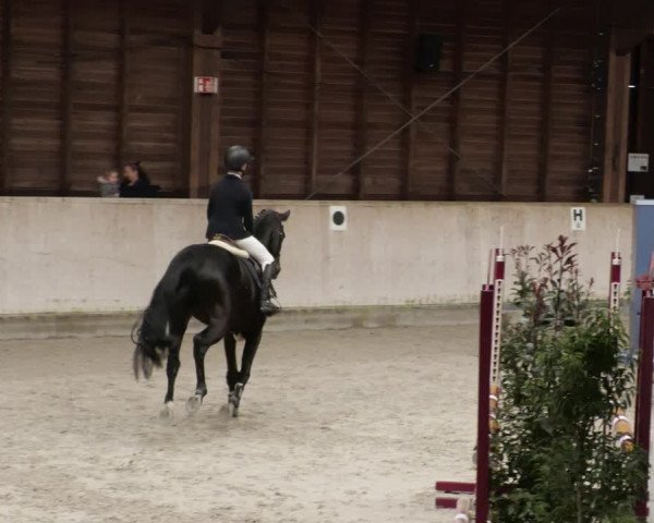 Reitturnier Mannheim-Neckarau 2023