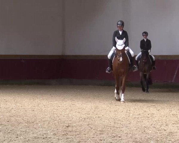 Reitturnier Eicherloh RH Laurent/Obb. 2023