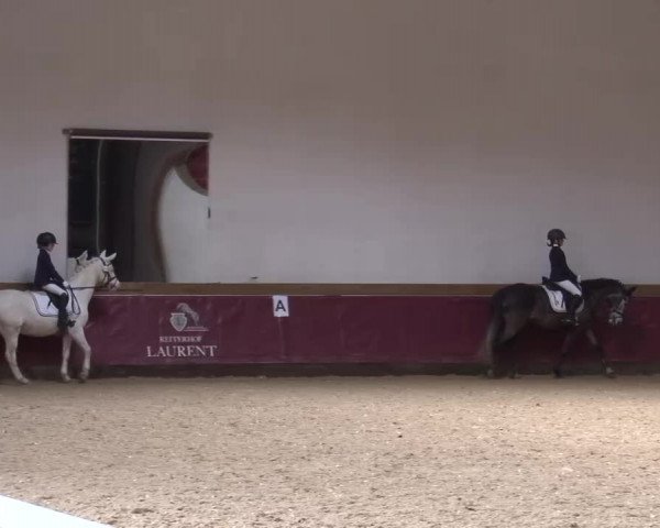 Reitturnier Eicherloh RH Laurent/Obb. 2023