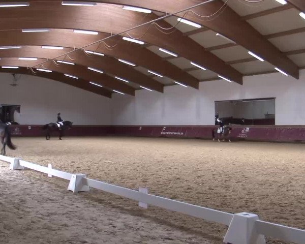 Reitturnier Eicherloh RH Laurent/Obb. 2023