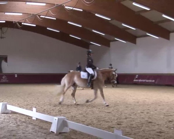 Reitturnier Eicherloh RH Laurent/Obb. 2023