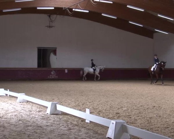Reitturnier Eicherloh RH Laurent/Obb. 2023