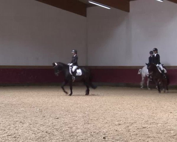 Reitturnier Eicherloh RH Laurent/Obb. 2023