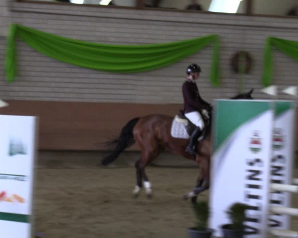 Reitturnier Hellefeld 2023