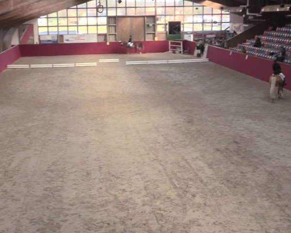 Reitturnier Krumke 2023