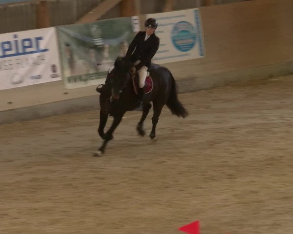 Reitturnier Schaffhausen 2023