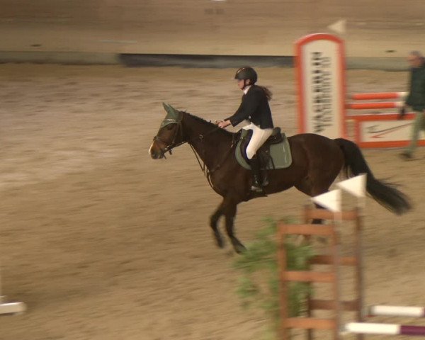 Reitturnier Schaffhausen 2023