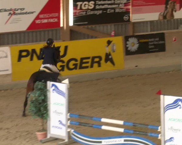 Reitturnier Schaffhausen 2023