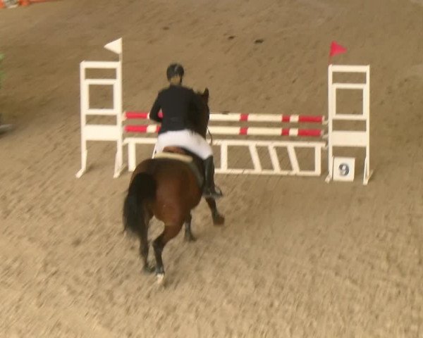 Reitturnier Schaffhausen 2023