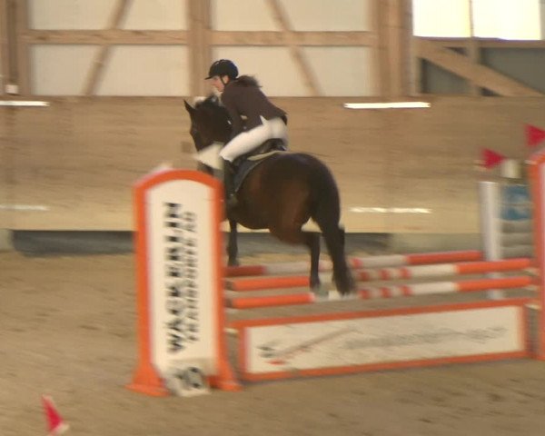 Reitturnier Schaffhausen 2023