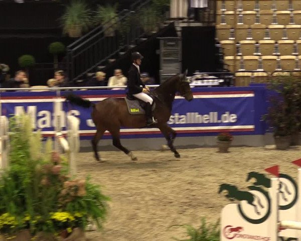 FEI Reitturnier Neumünster (GER) 2021