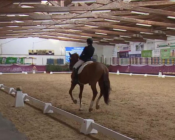 Reitturnier Eicherloh RH Laurent/Obb. 2023