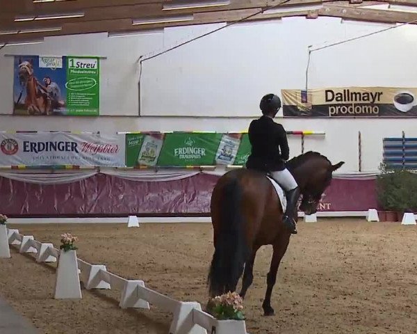 Reitturnier Eicherloh RH Laurent/Obb. 2023