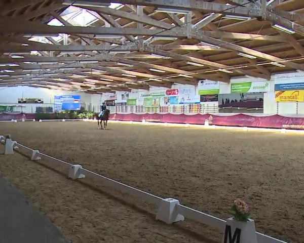 Reitturnier Eicherloh RH Laurent/Obb. 2023