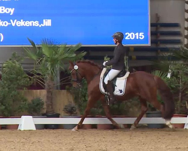 Reitturnier Eicherloh RH Laurent/Obb. 2023