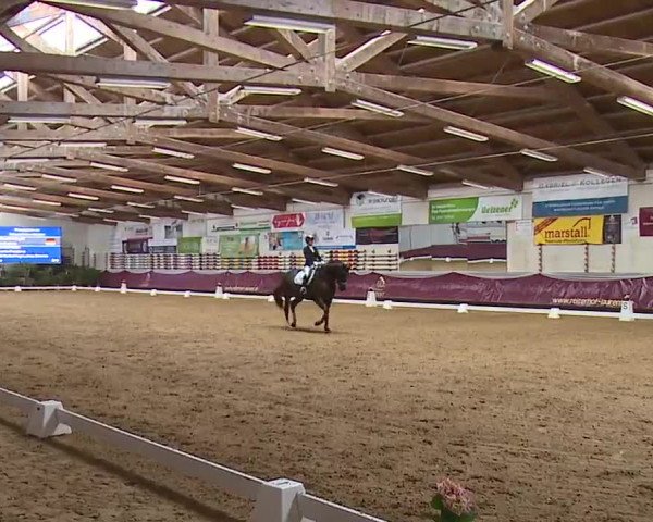 Reitturnier Eicherloh RH Laurent/Obb. 2023