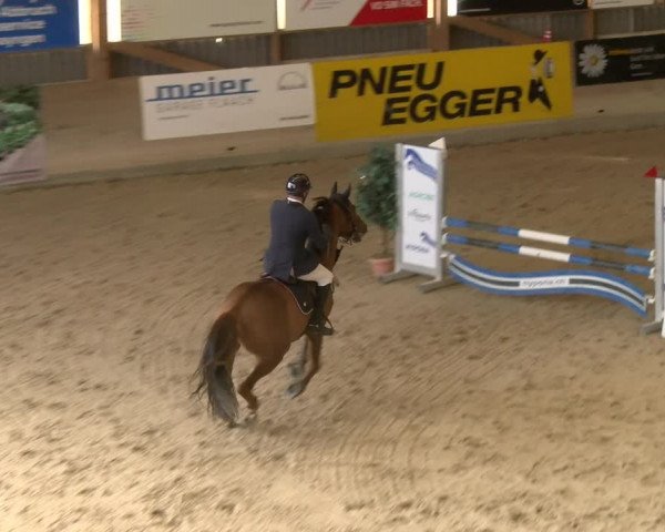 Reitturnier Schaffhausen 2023