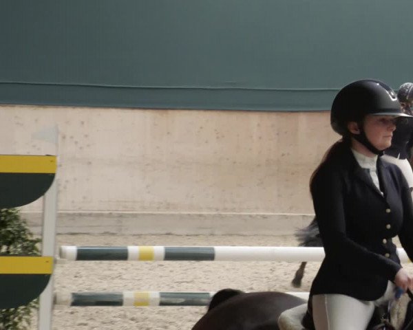 Reitturnier Mannheim-Neckarau 2023