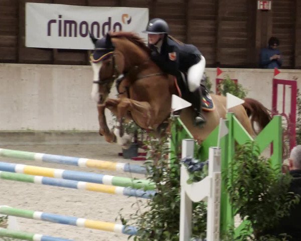 Reitturnier Mannheim-Neckarau 2023