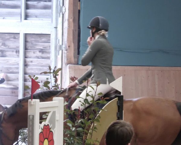 Reitturnier Mannheim-Neckarau 2023