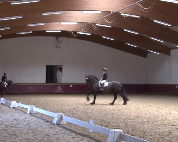 Reitturnier Eicherloh RH Laurent/Obb. 2023