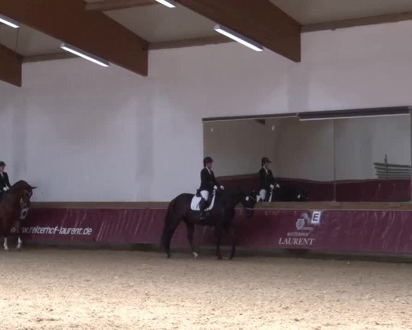 Reitturnier Eicherloh RH Laurent/Obb. 2023