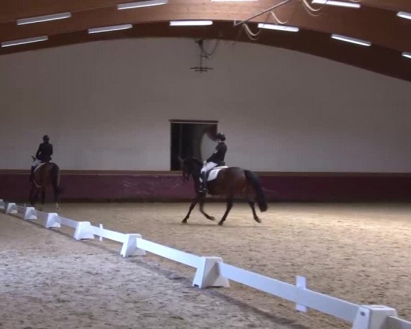 Reitturnier Eicherloh RH Laurent/Obb. 2023