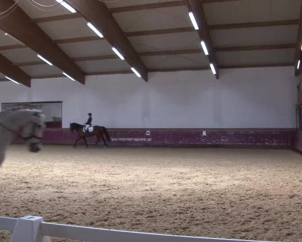 Reitturnier Eicherloh RH Laurent/Obb. 2023